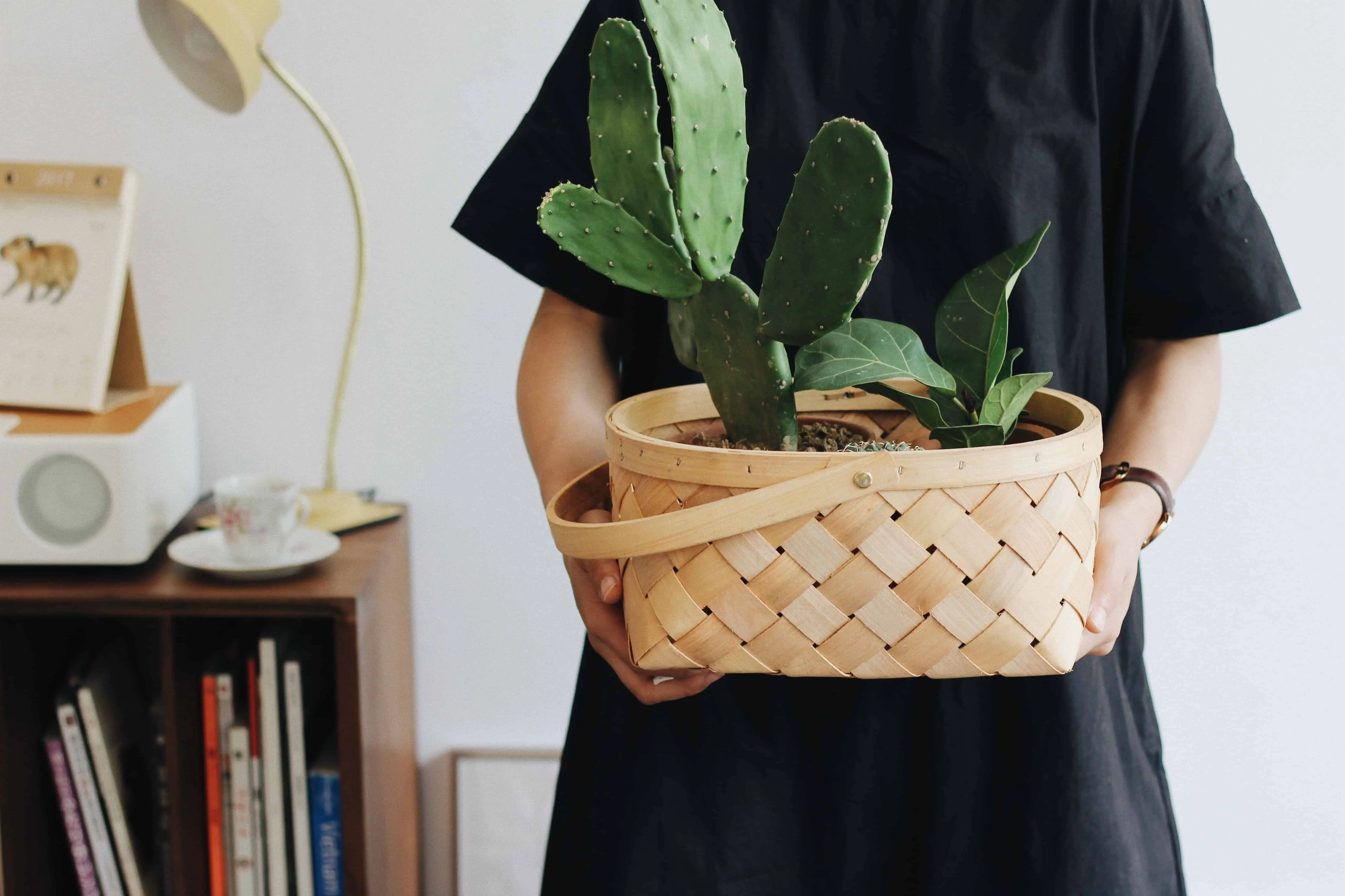 saving money for a home - consider moving in temporarily with friends or family (picture of woman holding plant)